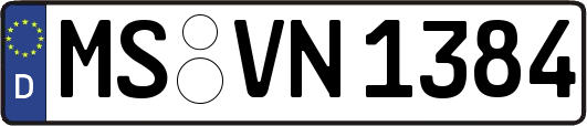 MS-VN1384