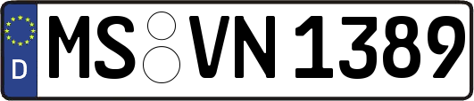 MS-VN1389