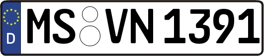 MS-VN1391