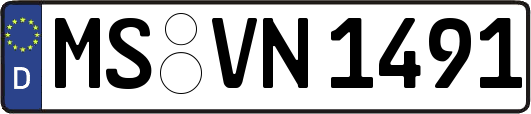 MS-VN1491
