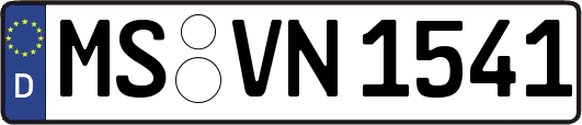 MS-VN1541