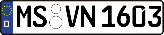 MS-VN1603