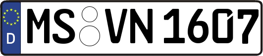 MS-VN1607