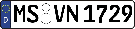MS-VN1729