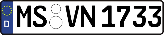 MS-VN1733