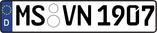 MS-VN1907