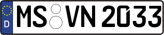 MS-VN2033