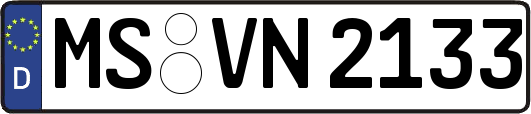 MS-VN2133