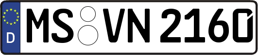 MS-VN2160