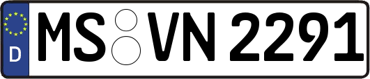 MS-VN2291