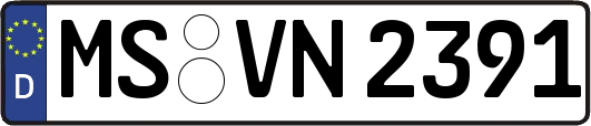 MS-VN2391