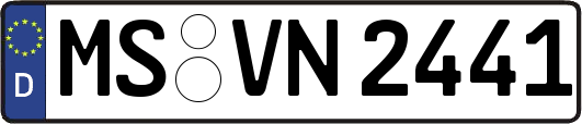 MS-VN2441