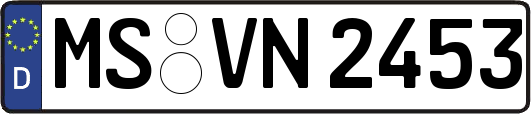 MS-VN2453