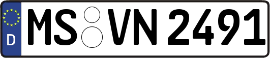 MS-VN2491