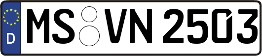 MS-VN2503