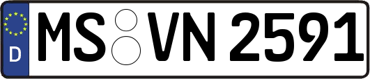 MS-VN2591