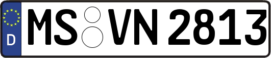 MS-VN2813