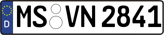 MS-VN2841