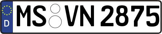 MS-VN2875
