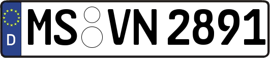 MS-VN2891