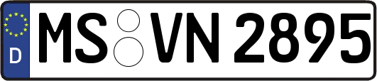 MS-VN2895