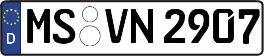 MS-VN2907