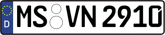 MS-VN2910