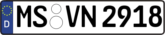 MS-VN2918