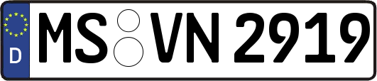 MS-VN2919