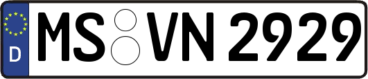 MS-VN2929