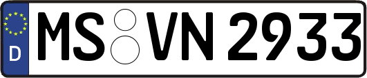 MS-VN2933