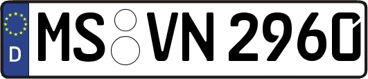 MS-VN2960