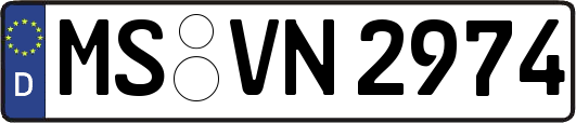 MS-VN2974