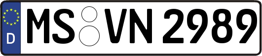 MS-VN2989