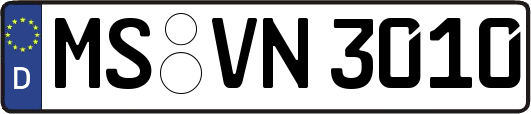 MS-VN3010
