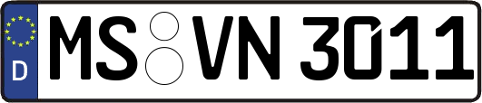 MS-VN3011