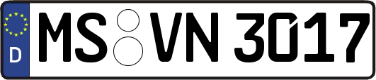 MS-VN3017