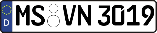 MS-VN3019