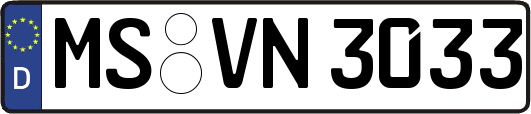 MS-VN3033