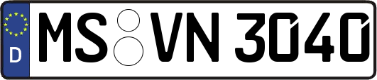 MS-VN3040