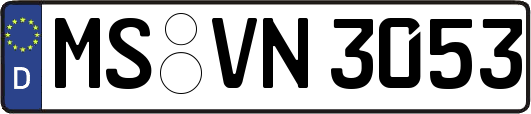MS-VN3053