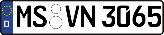 MS-VN3065