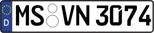 MS-VN3074
