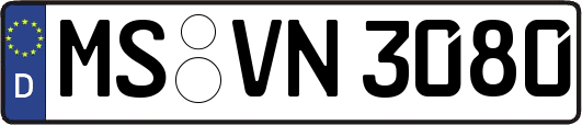MS-VN3080