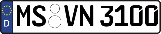 MS-VN3100