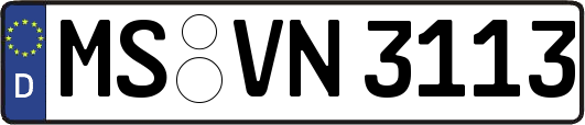 MS-VN3113
