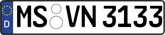MS-VN3133