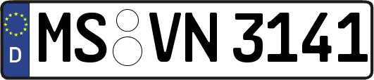 MS-VN3141