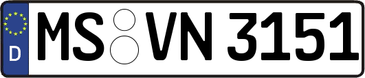 MS-VN3151