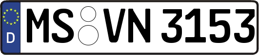 MS-VN3153